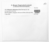 Image Associated With the Occurrence